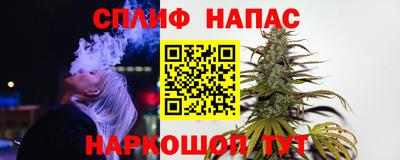 бошки Ставрополь