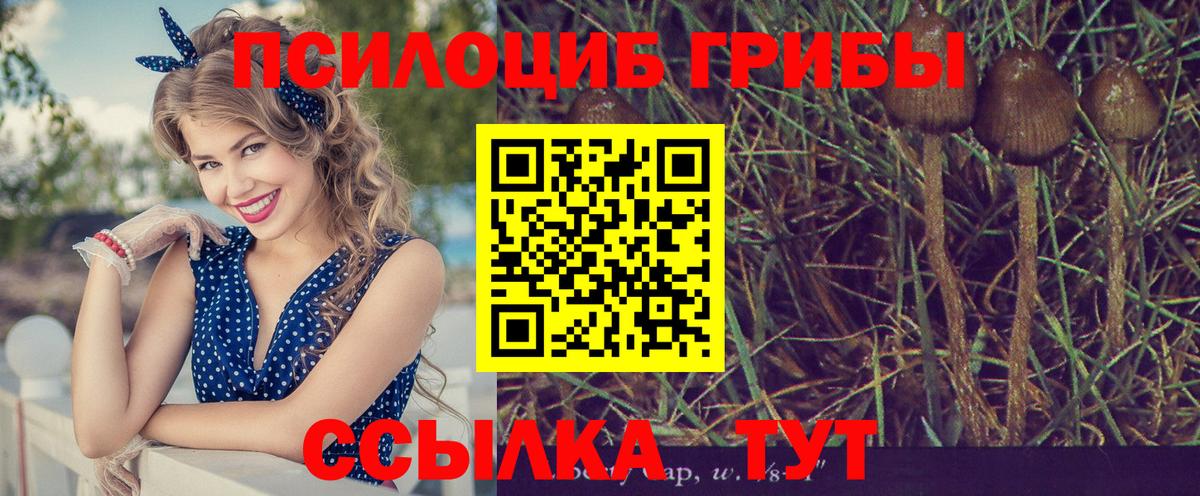 Псилоцибиновые грибы Cubensis  Псилоцибиновые грибы GOLDEN TEACHER  Вход с VPN  Обь 