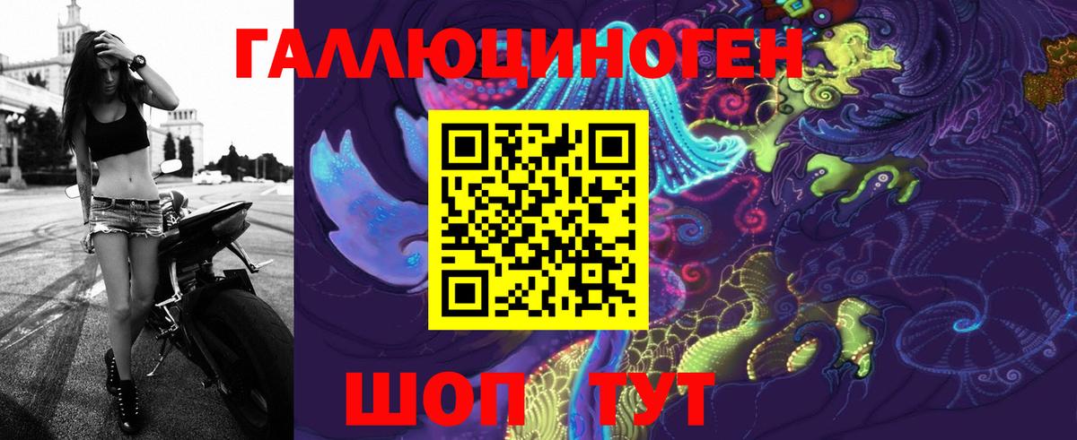 Псилоцибиновые грибы Psilocybe Обь